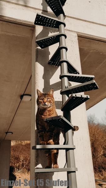 FeliStair Katzentreppe montiert, mit Katze auf den Stufen